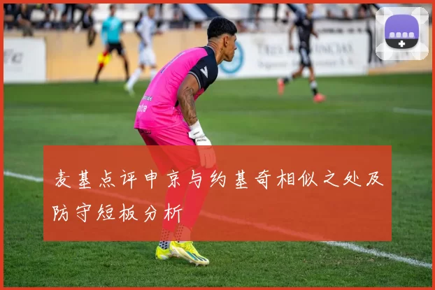 麦基点评申京与约基奇相似之处及防守短板分析